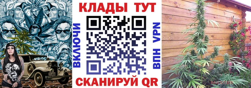 Купить закладку Курчалой МЕГА как зайти  Меф  СОЛЬ  МАРИХУАНА  КОКАИН 