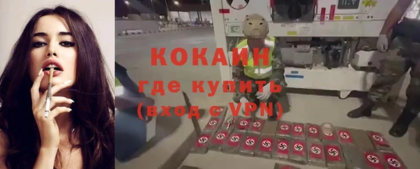 стаф Елизово