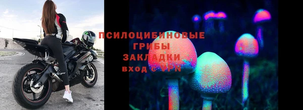 стаф Елизово