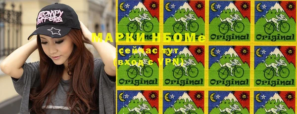 стаф Елизово