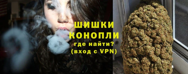 стаф Елизово