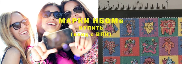 стаф Елизово